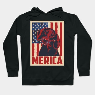 Dachshund Merica 4th Of July Hoodie